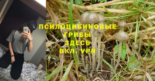 кокаин колумбия Богданович
