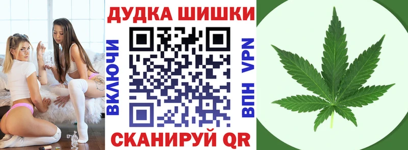 как найти закладки  Сланцы  Каннабис планчик 